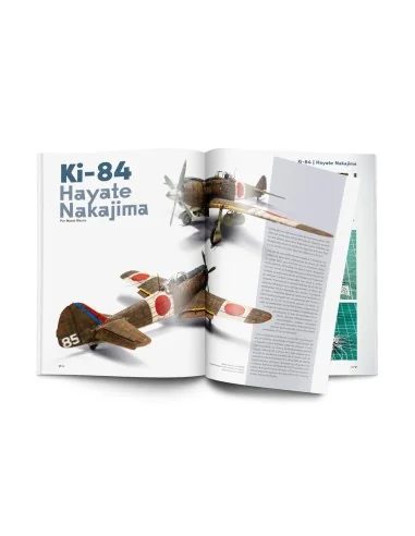 [NO_DESC] Weathering Effects on Aircraft Spanish - Vallejo 75057