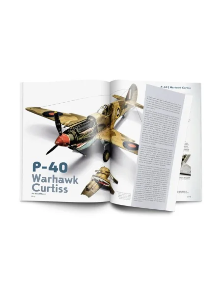 Weathering Effects on Aircraft Spanish - Vallejo 75057