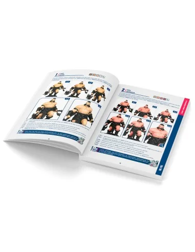 Color BSL System Spanish - Vallejo 75090