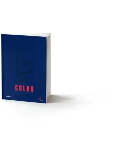 Color BSL System English - Vallejo 75091