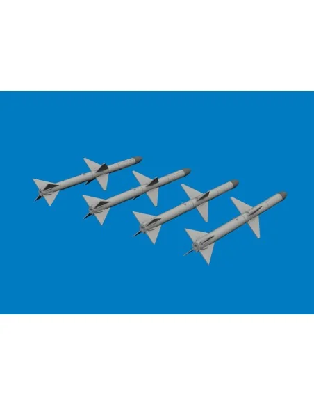 [NO_DESC] AIM-7M PRINT, 1/48 - Eduard Accessories 6481175