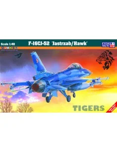 F-16C BLOCK 52 + JASTRZAB HAWK, 1/48 - Mistercraft G-116 2