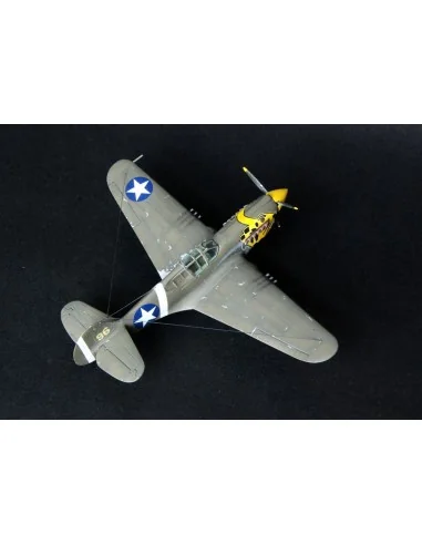 P-40E Aleutian Tiger START SET, 1/72 - Mistercraft SD-202