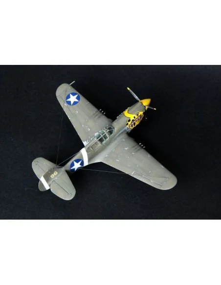 P-40E Aleutian Tiger START SET, 1/72 - Mistercraft SD-202