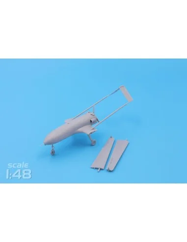 [NO_DESC] An-196 Liutyi deep-strike UAV (1/48), 1/48 - ModelSvit MS...