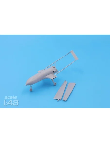 [NO_DESC] An-196 Liutyi deep-strike UAV (1/48), 1/48 - ModelSvit MS...