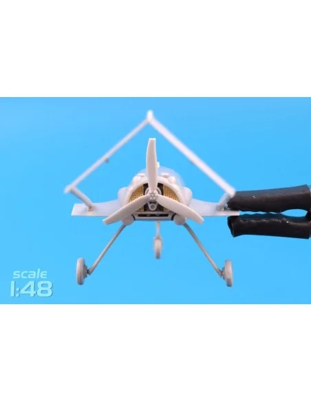 [NO_DESC] An-196 Liutyi deep-strike UAV (1/48), 1/48 - ModelSvit MS...