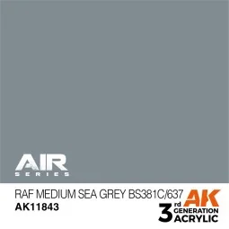 RAF Medium Sea Grey BS381C/637 - AK Interactive AK11843
