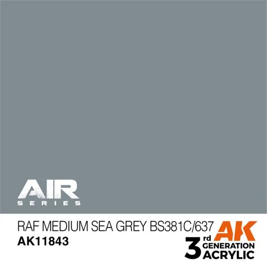 RAF Medium Sea Grey BS381C/637 - AK Interactive AK11843