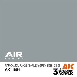 RAF Camouflage (Barley) Grey BS381C/626 - AK Interactive AK11854