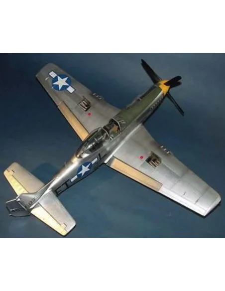 North American P-51 D Mustang IV, 1/24 - Trumpeter 02401