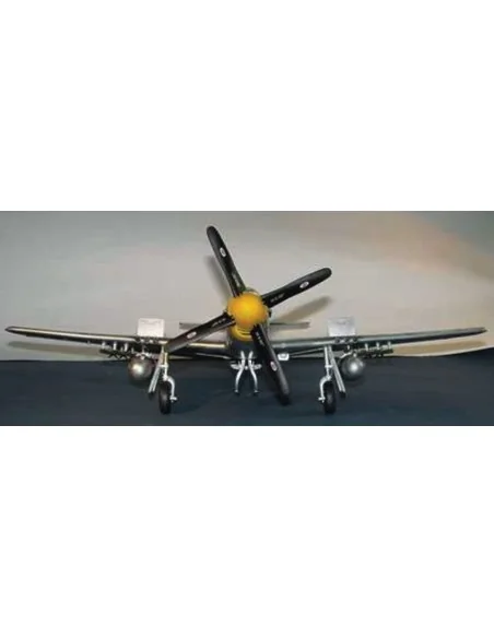 North American P-51 D Mustang IV, 1/24 - Trumpeter 02401