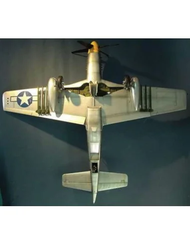 North American P-51 D Mustang IV, 1/24 - Trumpeter 02401