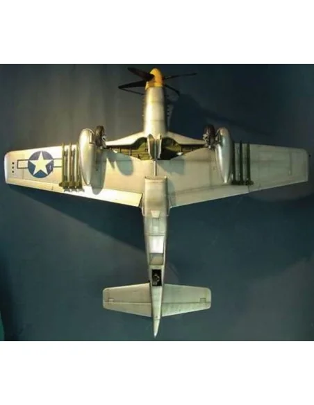 North American P-51 D Mustang IV, 1/24 - Trumpeter 02401