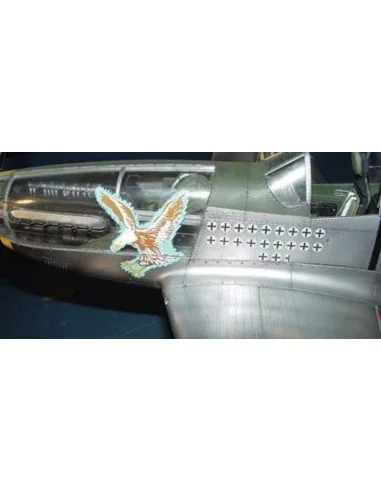 North American P-51 D Mustang IV, 1/24 - Trumpeter 02401