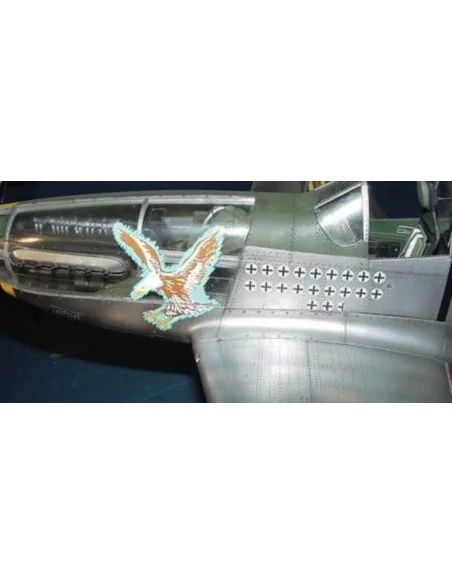 North American P-51 D Mustang IV, 1/24 - Trumpeter 02401