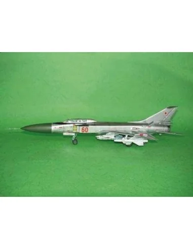 Sukhoi Su-15 UM Flagon F, 1/48 - Trumpeter 02812