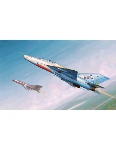 MiG-21UM Fighter, 1/48 - Trumpeter 02865