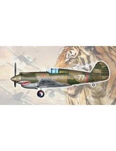 H-81A-2(AVG), 1/48 - Trumpeter 05807