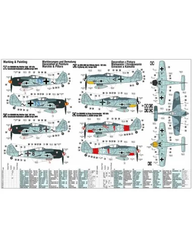 Fw-190A8R8 Sturmbock, 1/72 - Mistercraft C-06
