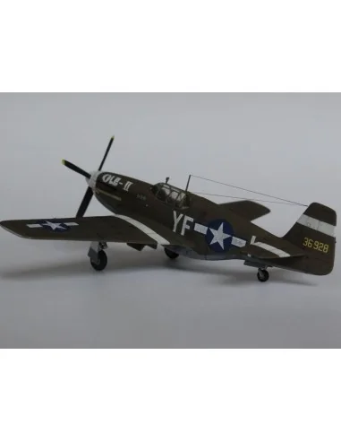 P-51 B-1 BullFrog I, 1/72 - Mistercraft C-46