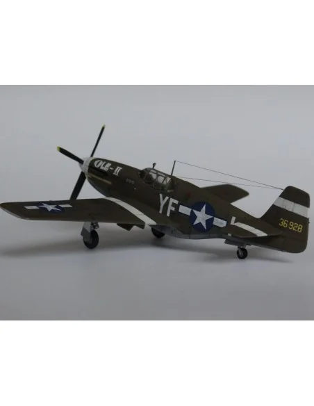 P-51 B-1 BullFrog I, 1/72 - Mistercraft C-46