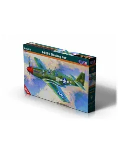 P-51 B-5 Bee, 1/72 - Mistercraft C-48