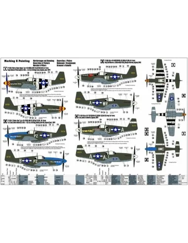 P-51 B-5 Hurry Home Honey, 1/72 - Mistercraft C-49