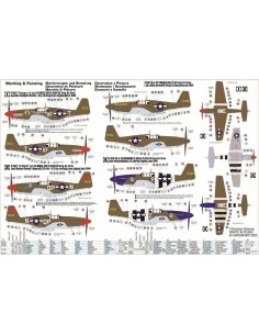 [NO_DESC] P-51 B-7 Shangri LA, 1/72 - Mistercraft C-50 2