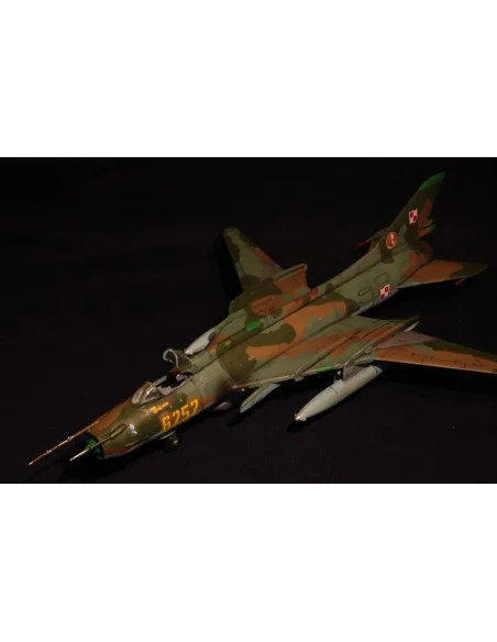 SU-20R Last Flight, 1/72 - Mistercraft D-13
