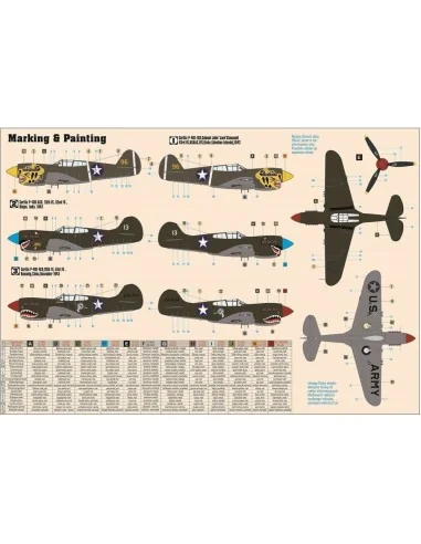 P-40E Aleutian Tiger, 1/72 - Mistercraft D-202