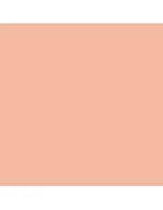 Model Color: 006 - Basic Skin Tone 18 ml - Vallejo 70815 2