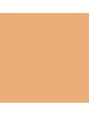 Model Color: 012 - Sunny Skin Tone 18 ml - Vallejo 70845