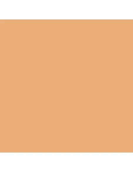 [NO_DESC] Model Color: 012 - Sunny Skin Tone 18 ml - Vallejo 70845