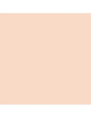 Model Color: 005 - Light Flesh 18 ml - Vallejo 70928