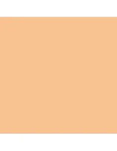 Model Air: Skin Tone 18 ml - Vallejo 71076