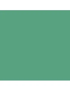 Game Color: Foul Green 18 ml - Vallejo 72025