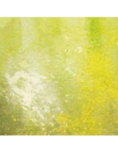 Weathering FX: Slimy Grime Light 40 ml - Vallejo 73823