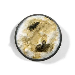 Dust - Liquid Pigment - AK Interactive AK14014