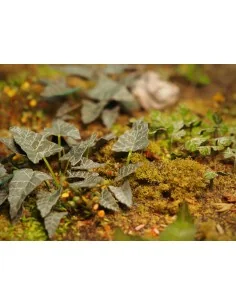 Plants & Weeds E, 1/35 - Matho Models 35039