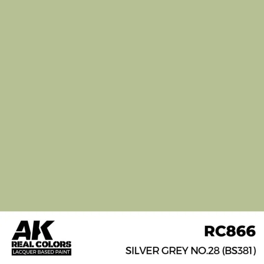 Real Colors: Silver Grey No.28 (BS381) 17 ml. - AK Interactive RC866