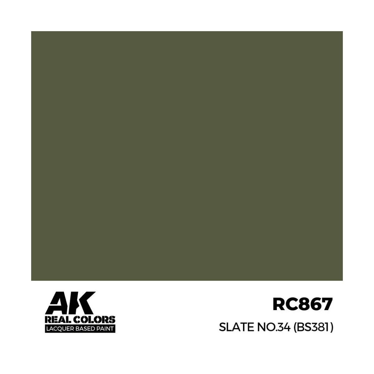 Real Colors: Slate No.34 (BS381) 17 ml. - AK Interactive RC867