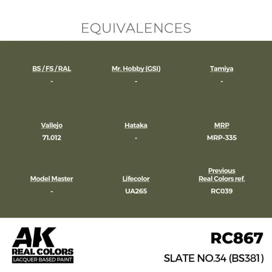 Real Colors: Slate No.34 (BS381) 17 ml. - AK Interactive RC867