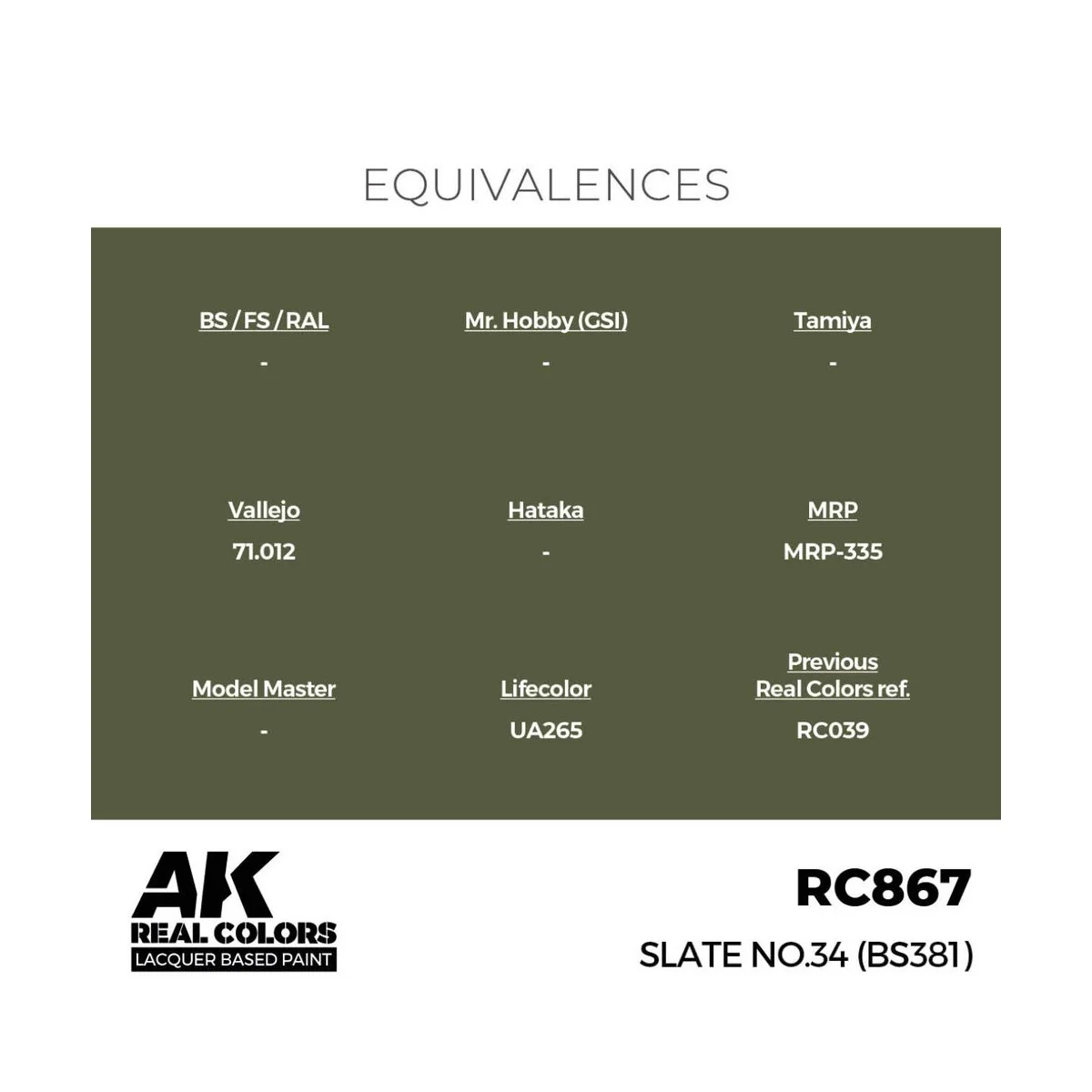 Real Colors: Slate No.34 (BS381) 17 ml. - AK Interactive RC867