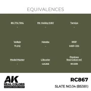 Real Colors: Slate No.34 (BS381) 17 ml. - AK Interactive RC867