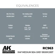 Real Colors: RAF Medium Sea Grey BS381C/637 17 ml. - AK Interactive...