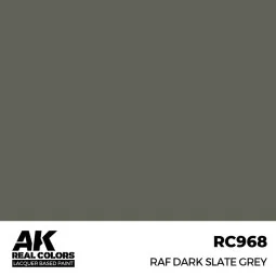 Real Colors: RAF Dark Slate Grey 17 ml. - AK Interactive RC968