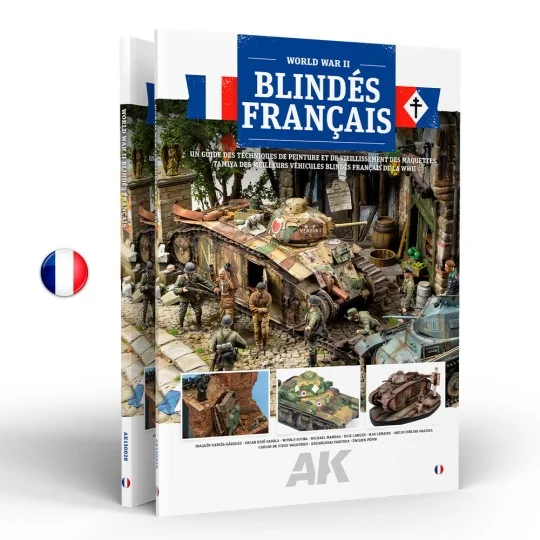 FRENCH ARMOR (FR) - AK Interactive AK130028