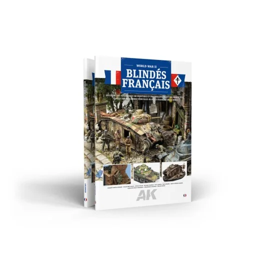 FRENCH ARMOR (FR) - AK Interactive AK130028