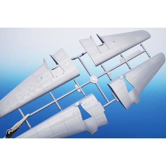 P-70 Nighthawk 'First US Nightfighter', 1/72 - Special Hobby 100-SH...